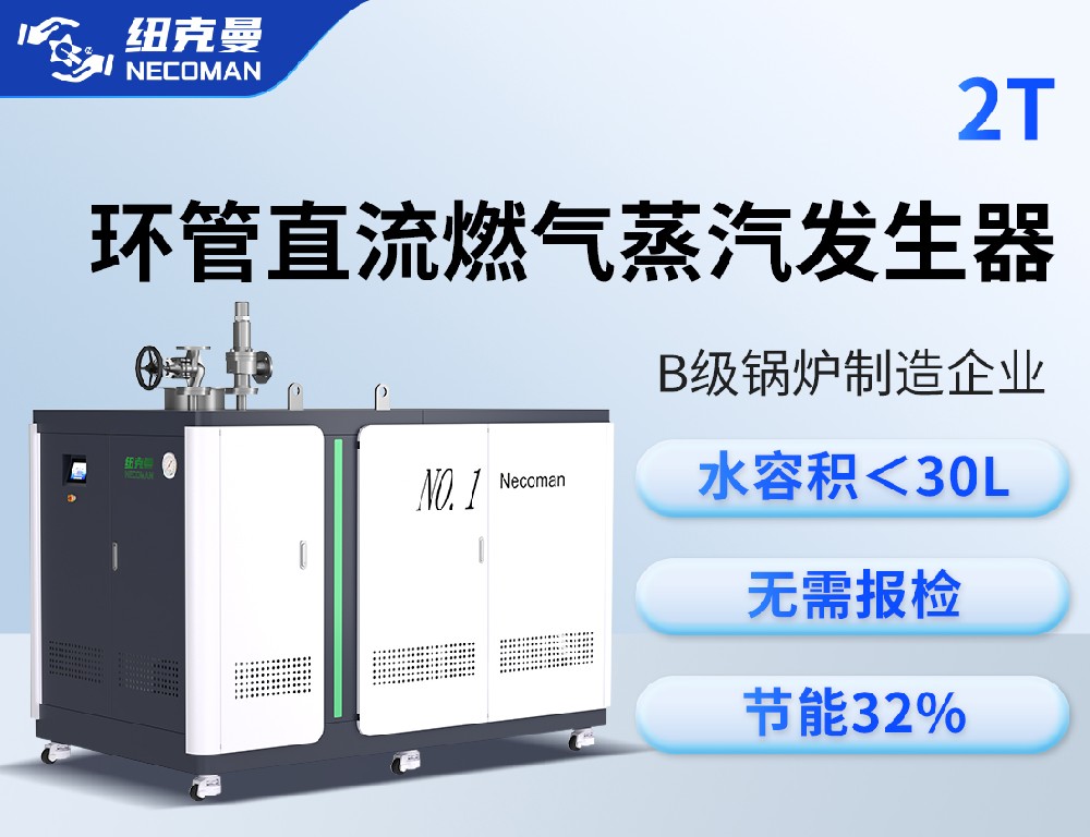2.0噸 燃?xì)馊加驼羝l(fā)生器