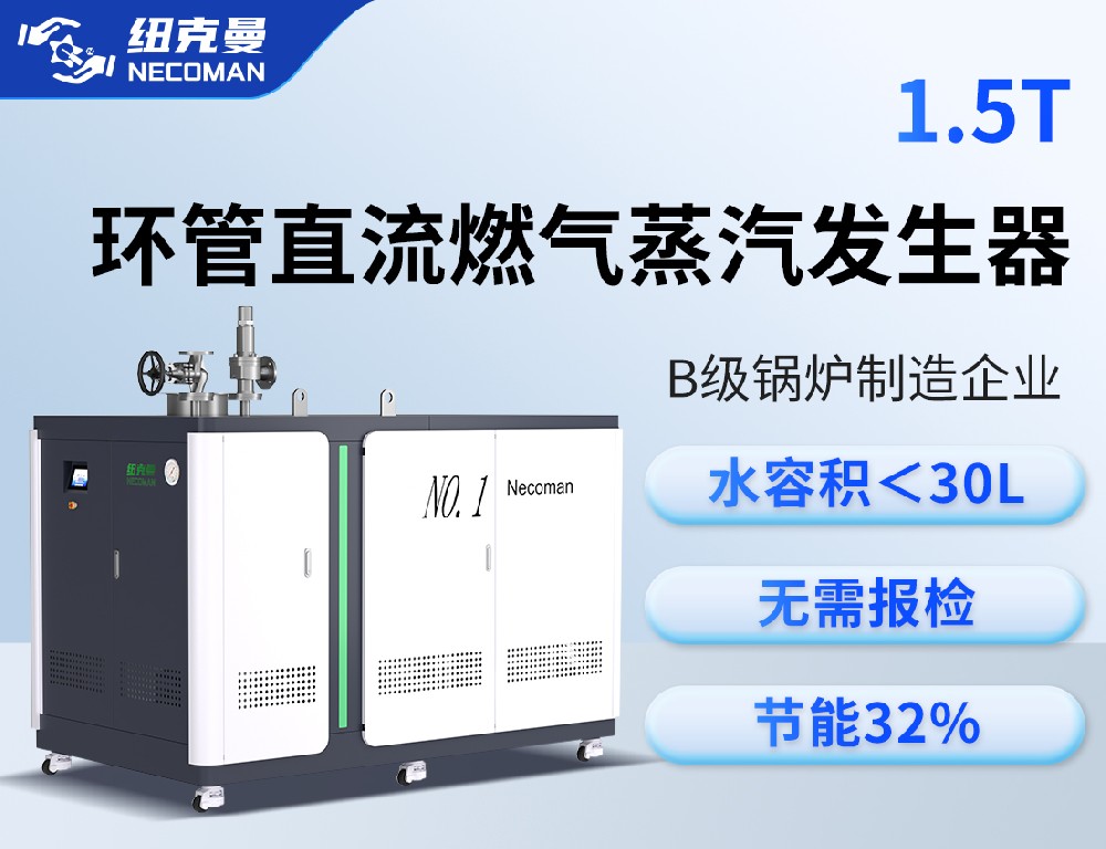 1.5噸 燃?xì)馊加驼羝l(fā)生器